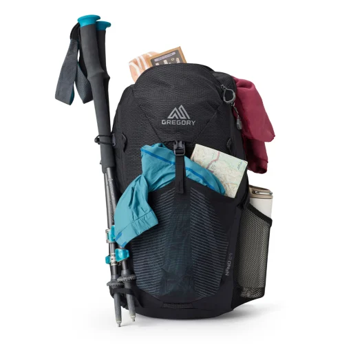 Gregory Nano 24L Daypack Obsidian Black