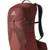 Men'S Gregory Citro 24L Brick Red