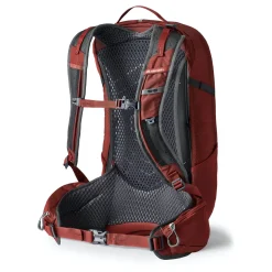Men'S Gregory Citro 24L Brick Red
