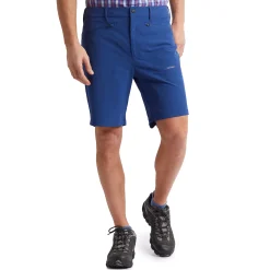 Men'S Vista Shorts Stratus Blue